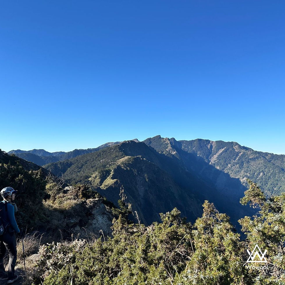 山