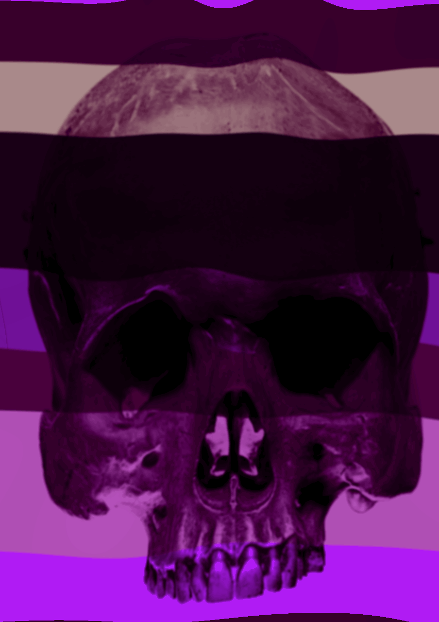 glitch-art-studio 16.GIF