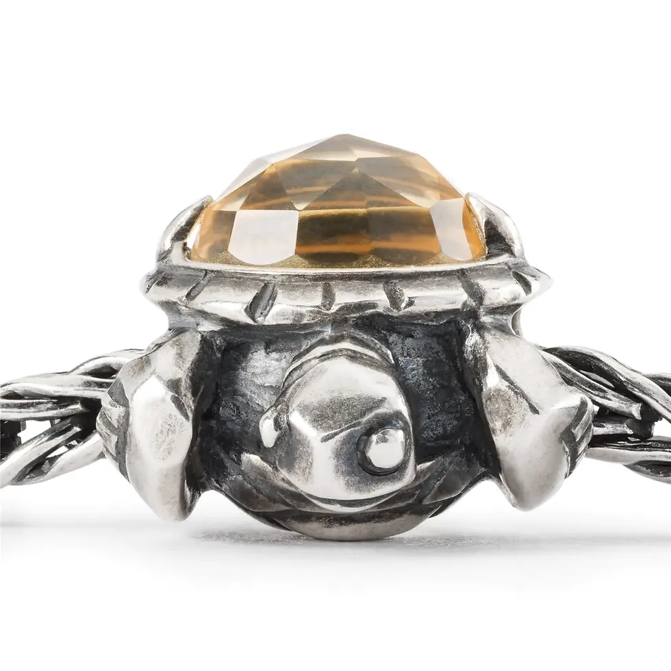 Miniature : LUNGA VITA TAGBE-00299