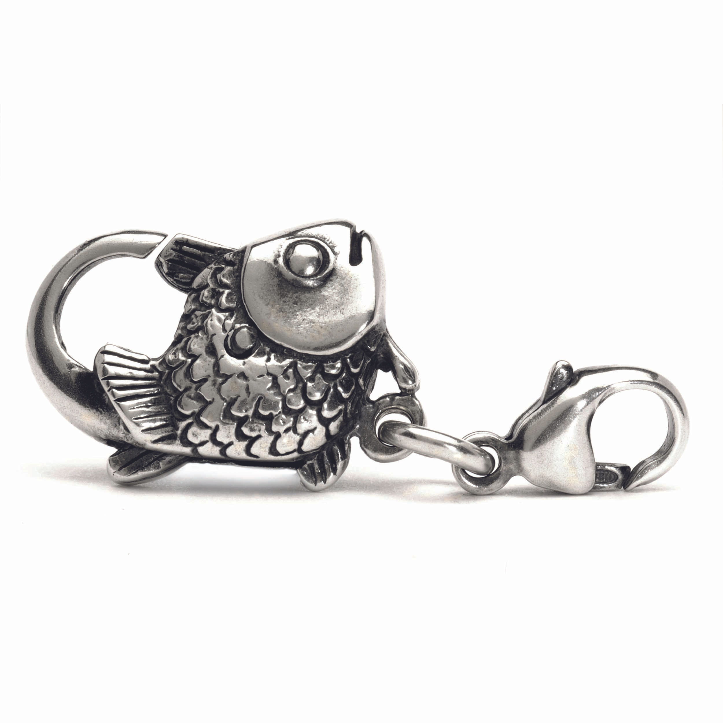 GRANDE CHIUSURA A PESCE TAGLO-00002