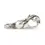 Thumbnail: Chiusura Tulipani dell'Ottimismo TAGLO-00126