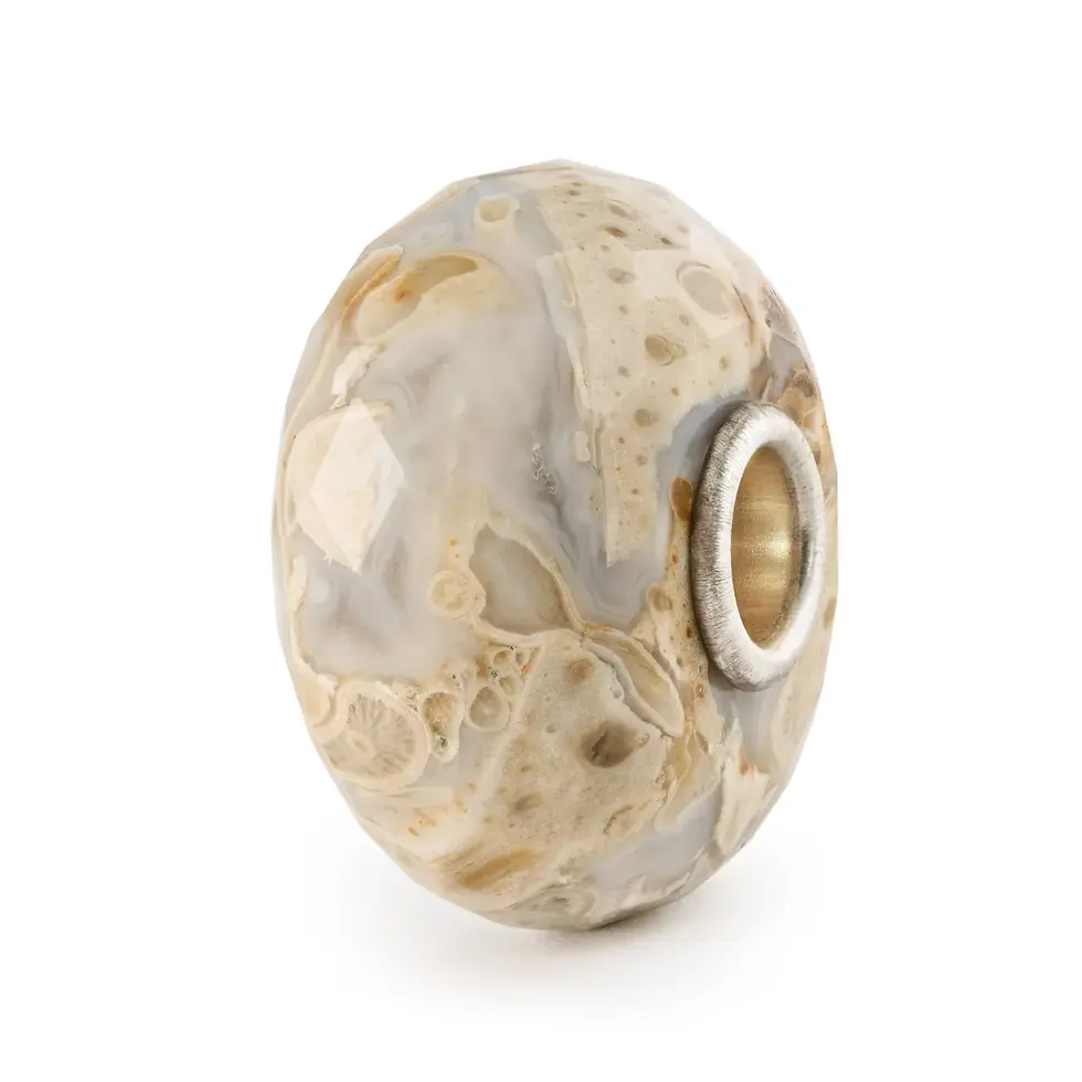 Miniature : Legno Fossile TSTBE-20042