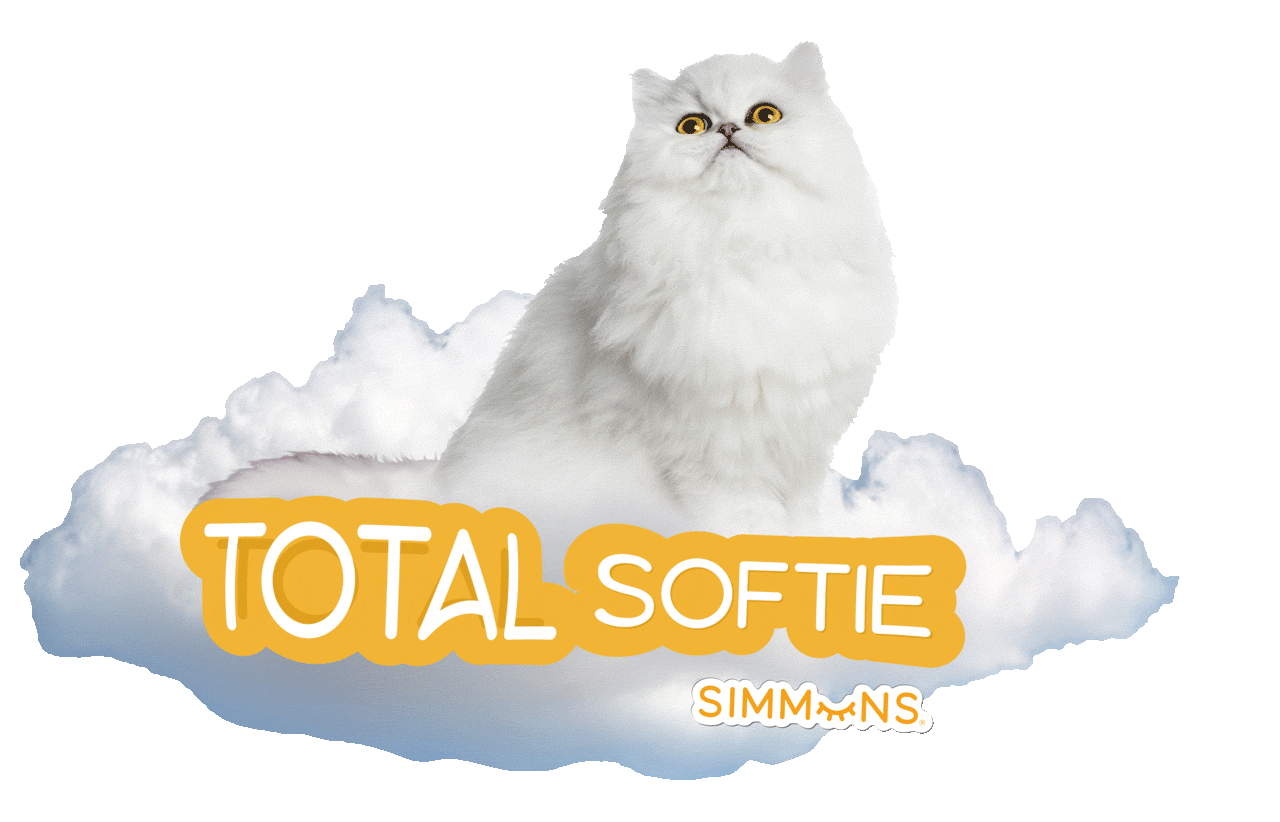01_CAT_ON_CLOUD.gif