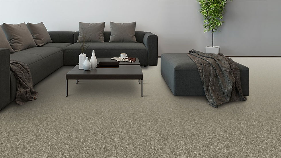 BUSH TAUPE 175 Grand Luxury 