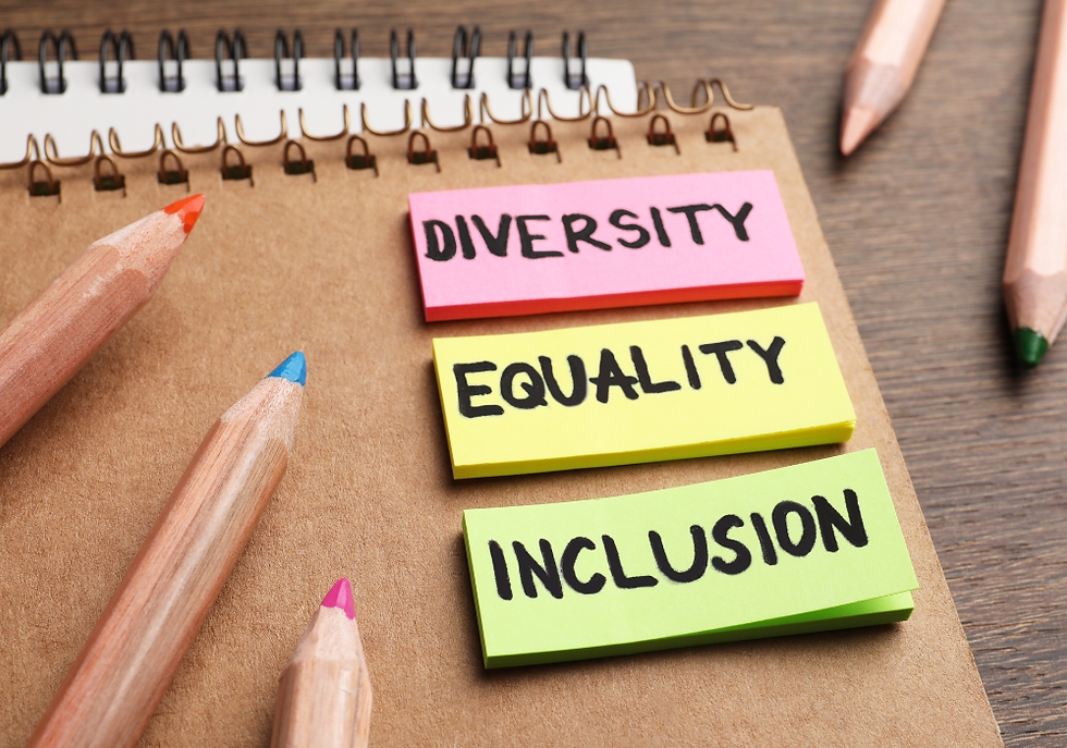 The Diversity, Equity and Inclusion activity is part of Area 4 of the Gap Year in Spain program of CIS and UC3M.