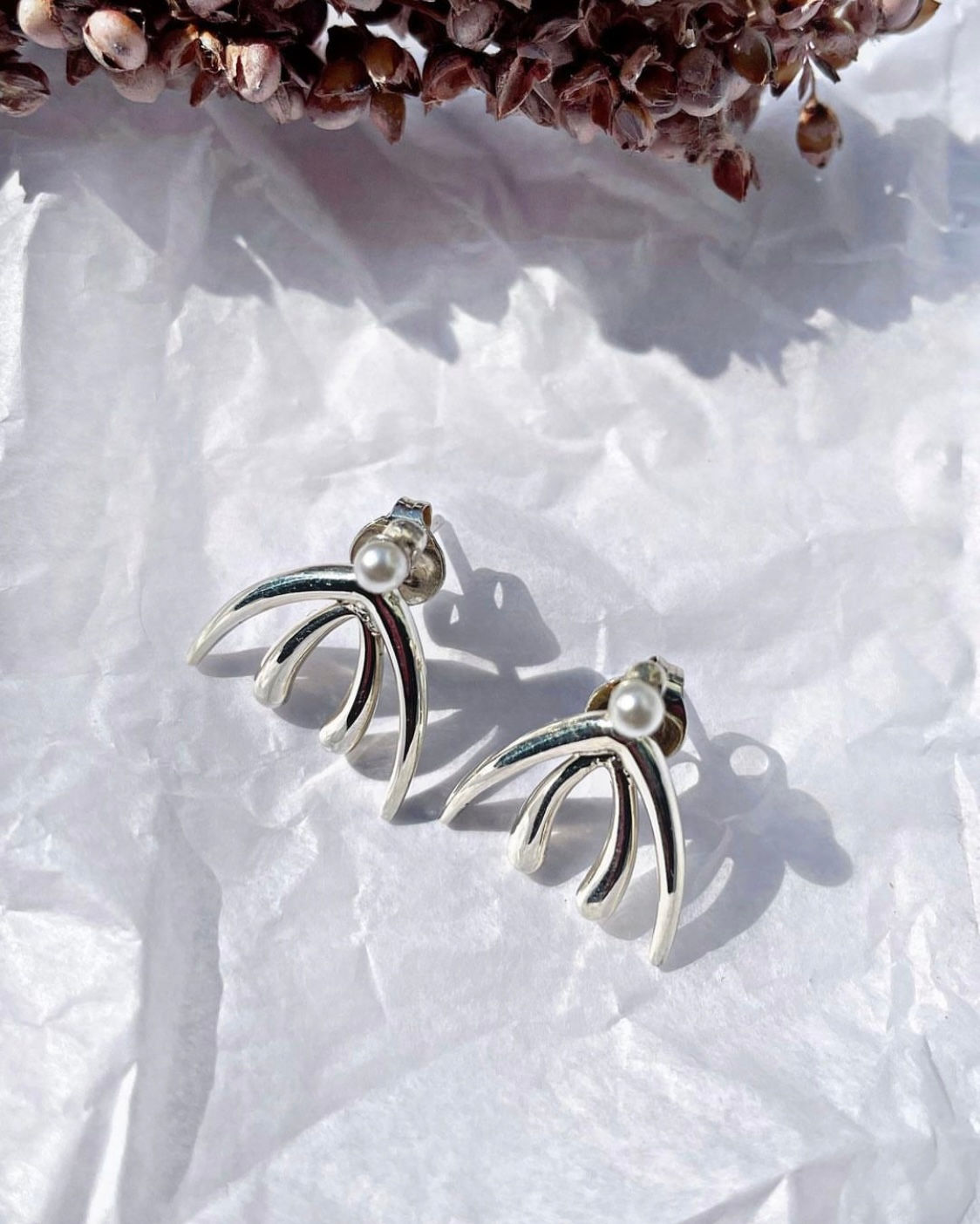 Aretes mini clitoras