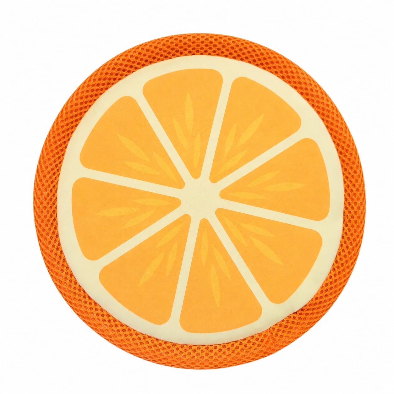 Fruit Flyer Dog Toy