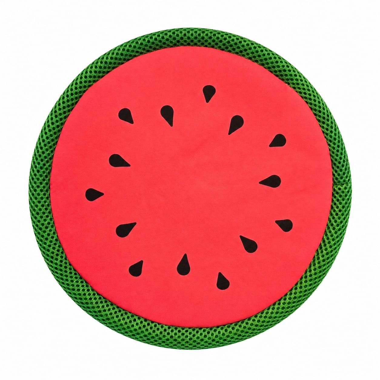 Fruit Flyer Dog Toy