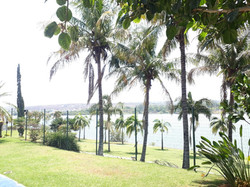 Imagem (39)