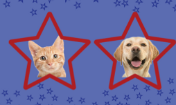 Blessing of the Animals thumbnail-1 (2).png