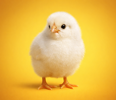 ChatGPT Image Mar 28, 2026, 06_26_00 PM.png