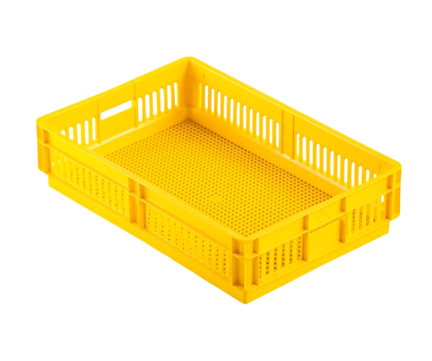 Untitled design (11).png