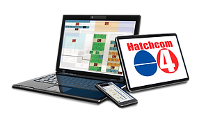 Software Hatchcom 4.png