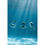 Thumbnail: Oli & Carol -  Orlando the Octopus - Natural Baby Bath Toy
