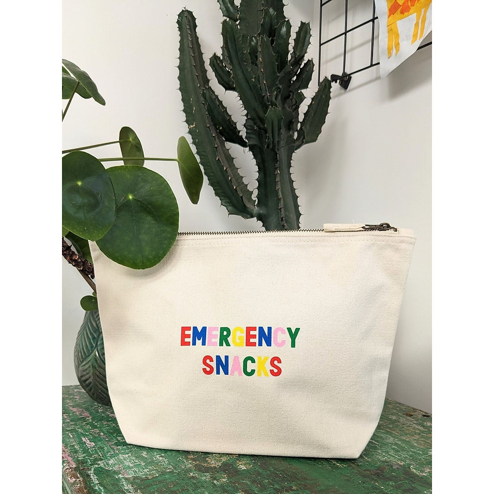 What Ted Wore - Emergency Snacks Pouch