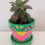 Thumbnail: Paint your own cacti pot with Poppet and Doodle - 21st June @7.30-9.30pm