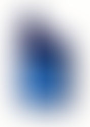 TUTELA TRANSMISSION EPYX