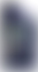 TUTELA TOP 4 FÉKOLAJ