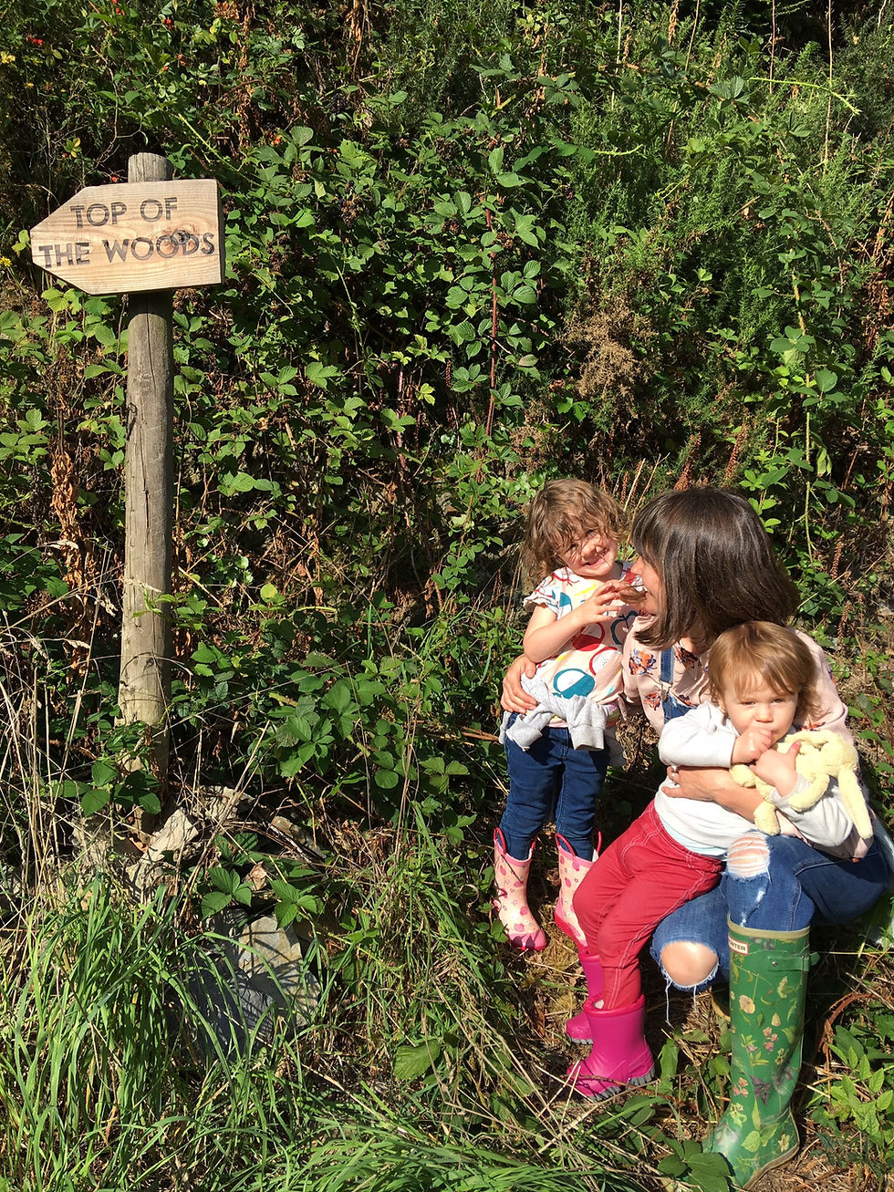 Which way to Top of the Woods?! The woodland surrounding us is particularly inspiring.. Find the secret waterfall!