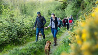 Group walking through the woods at Top of the Woods eco-luxury camping and glamping site in Pembrokeshire. Explore peaceful trails together, enjoy the fresh air and make time for simple outdoor moments on your group getaway.