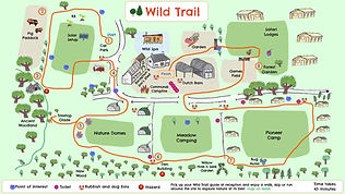 The Wild Trail at Top of the Woods in Pembrokeshire Camping Nature Retreat