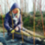 Michelle Cain planting willow