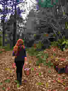 See, touch, smell, hear (and maybe taste once your back at camp!) during Top of the Woods' sensory woodland trail walk