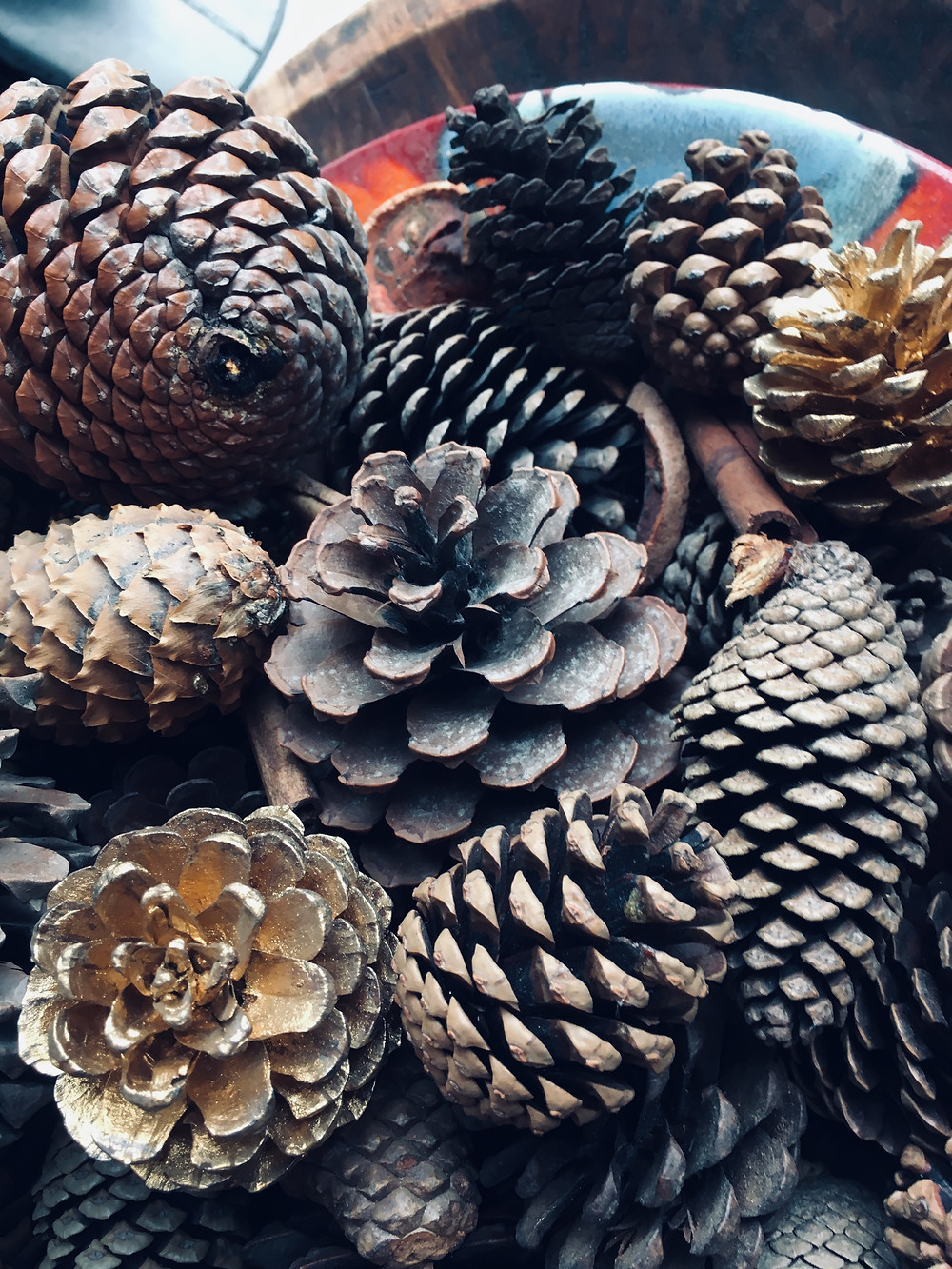 These pinecones are currently in Soo's dining room in the farmhouse at Top of the Woods.. maybe we could make some glamping decorations for next year?!