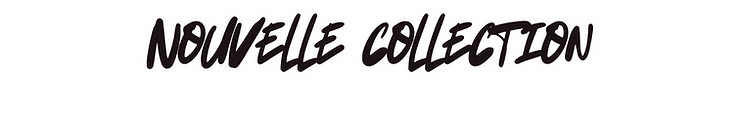 Logo AINSIDANSE LVRN _edited.png