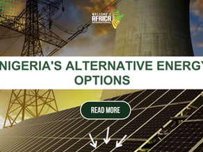 EXAMINING NIGERIA'S ALTERNATIVE ENERGY OPTIONS