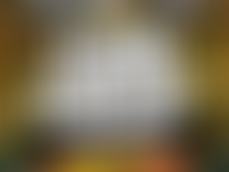 Como Chegar na Sol PVT