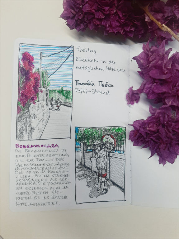 Bougainvillea.jpg