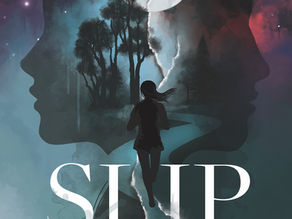 DRC Review: Slip by L. Ryan Storms