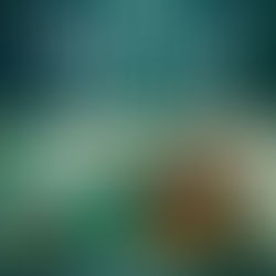 DRC Review: The Trident and the Pearl by Sarah K. L. Wilson