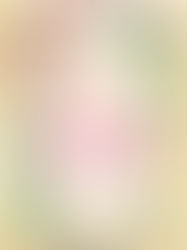 ARC Review: Emily Wilde’s Encyclopaedia of Faeries (Emily Wilde #1) by Heather Fawcett