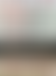 Special Editions Review: All the Editions of Gallant (That I Have)