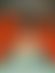 Book Review: City of Nightmares (City of Nightmares, #1) by Rebecca Shaeffer