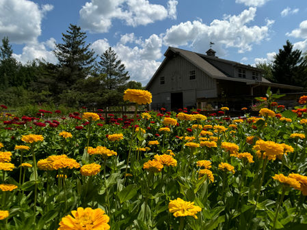 How to Support Text Amendment for Agricultural Experiences in Barrington Hills