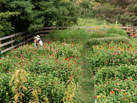 Introduction to Agritourism in Barrington Hills, IL