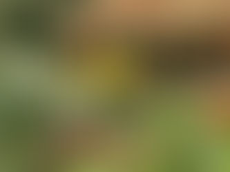 Summer 2024 Will Be a Little Different this Year...