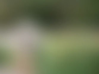 Invitation to Members of the Zoning Board of Appeals