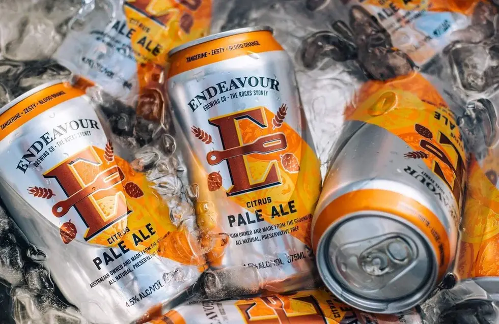 72a53c_fc0b8ba6d53e49e1b8a059a434964ece~mv2