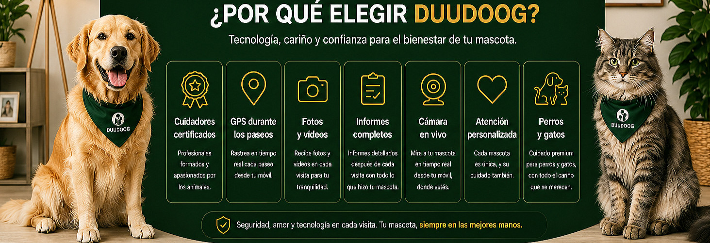 faixa por que elegir_edited_edited.jpg