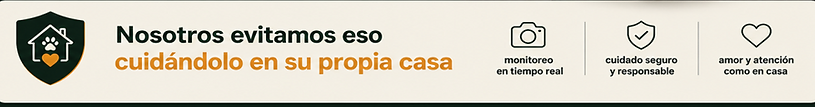 FAIXA 06.png