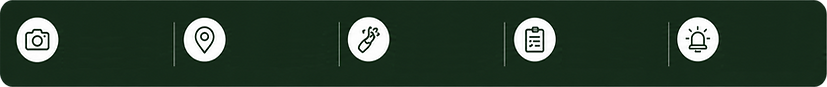 FAIXA 01.png
