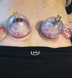 WhatsApp Bild 2024-02-22 um 12.17_edited.jpg