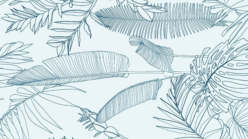 WhatsApp Image 2024-09-19 at 13_edited.jpg