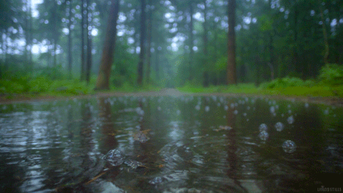 e91cf4f0e7fdda1d41b52bf28a0c1f12.gif