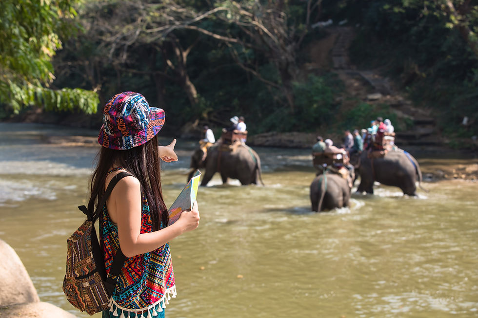 Discover the Magic of Zambia Wildlife Safari Tours: Nature at Its Finest