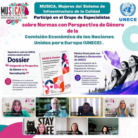 Grupo de Especialistas sobre Normas
